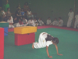 Image description